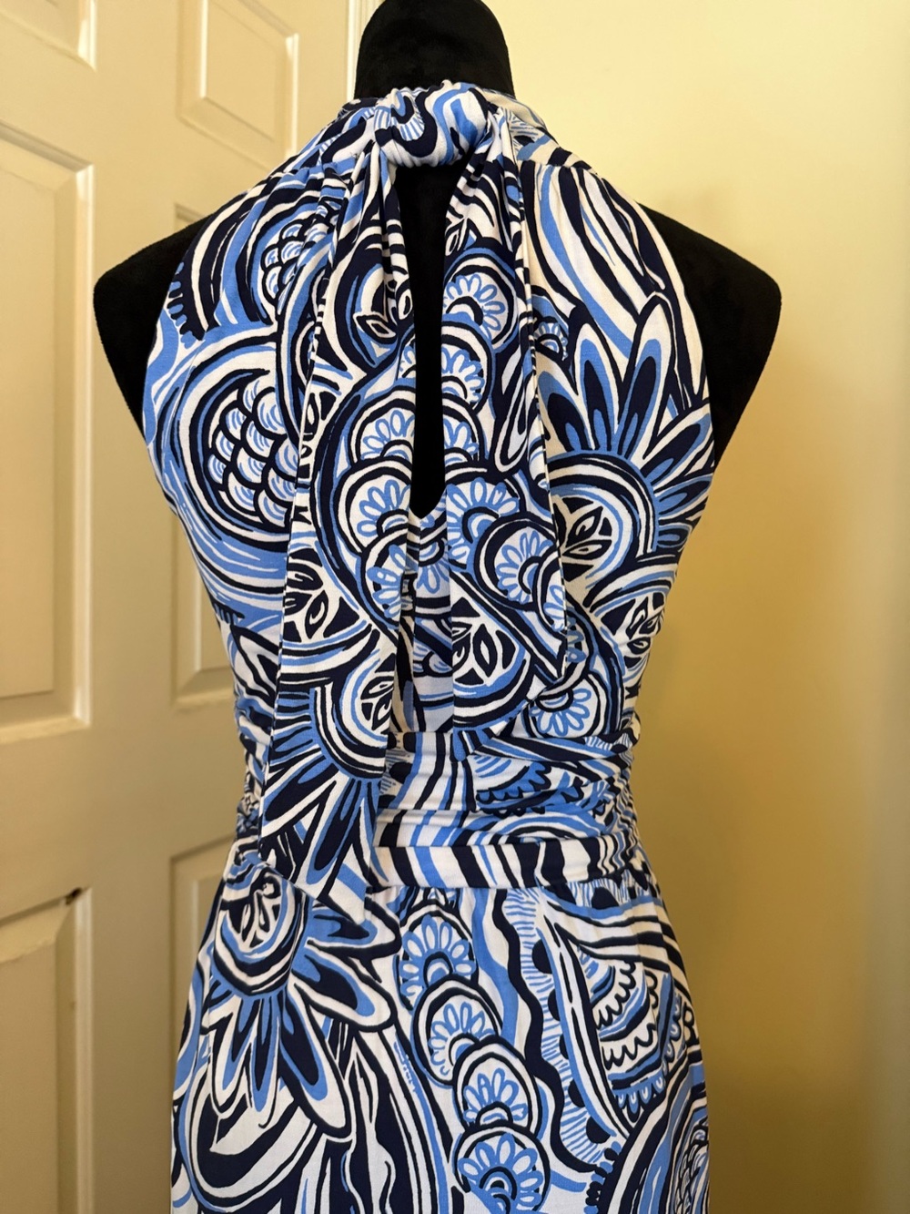 Lily Pulitzer Women’s Wyota Maxi XS - Picture 9 of 12